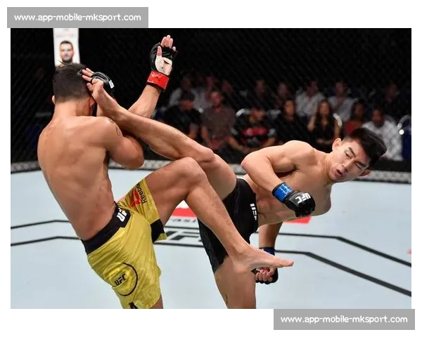 UFC 中国力量：李景亮、宋亚东等选手最新动态